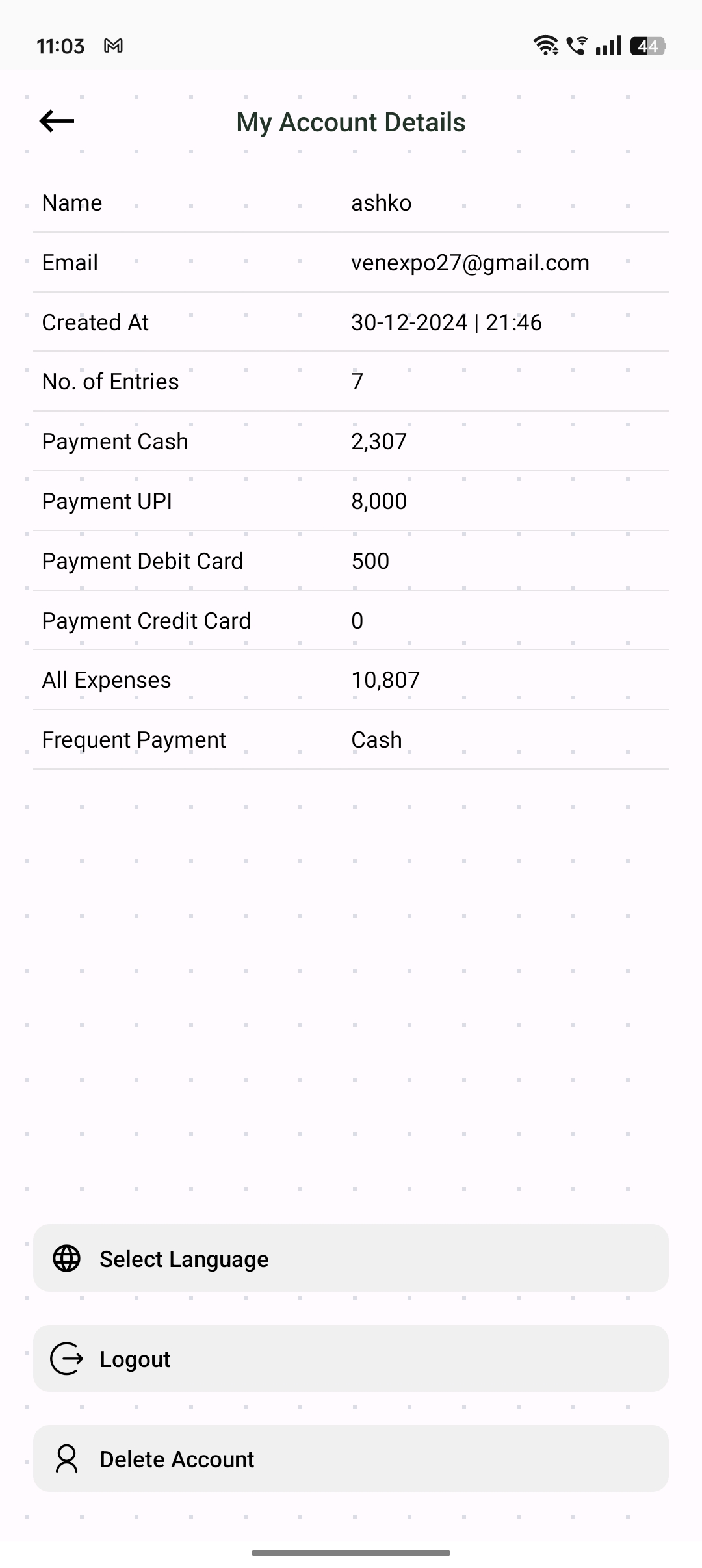 Account overview screen of Daily Expenses
